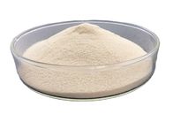 ISOの自然なポーク ゼラチンの粉の食品等級のゼラチンの粉60mesh